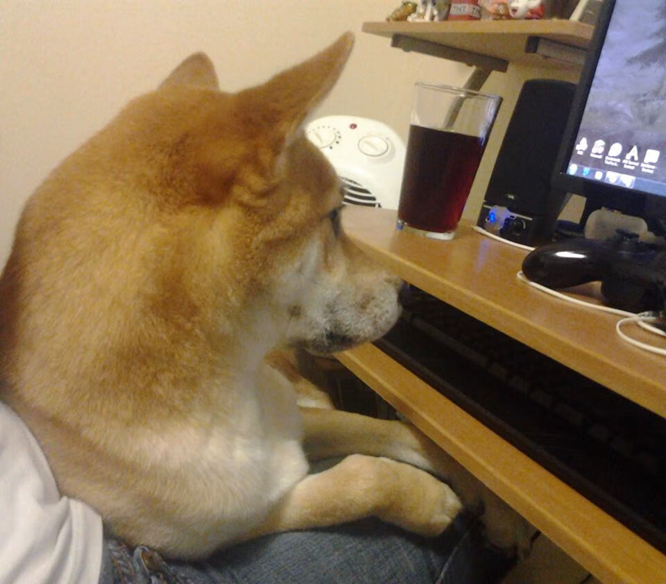 kaiyun.com-QQ飞车“冠军归来”速赛车队盼夺冠，qq飞车竞速赛车排名