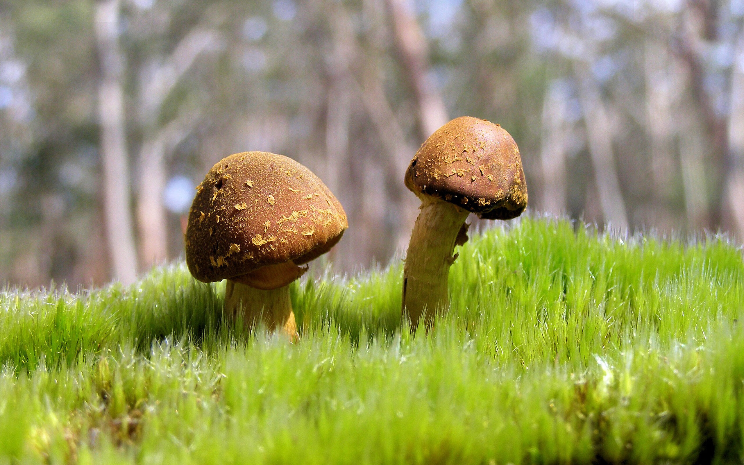 _关于运动伤病的预防与恢复策略_,运动损伤的预防治疗与恢复