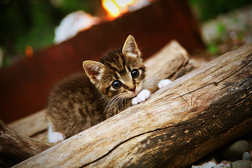 【夺冠感言】丁俊晖讲述赢得冠军的心路历程,丁俊晖夺冠奖金