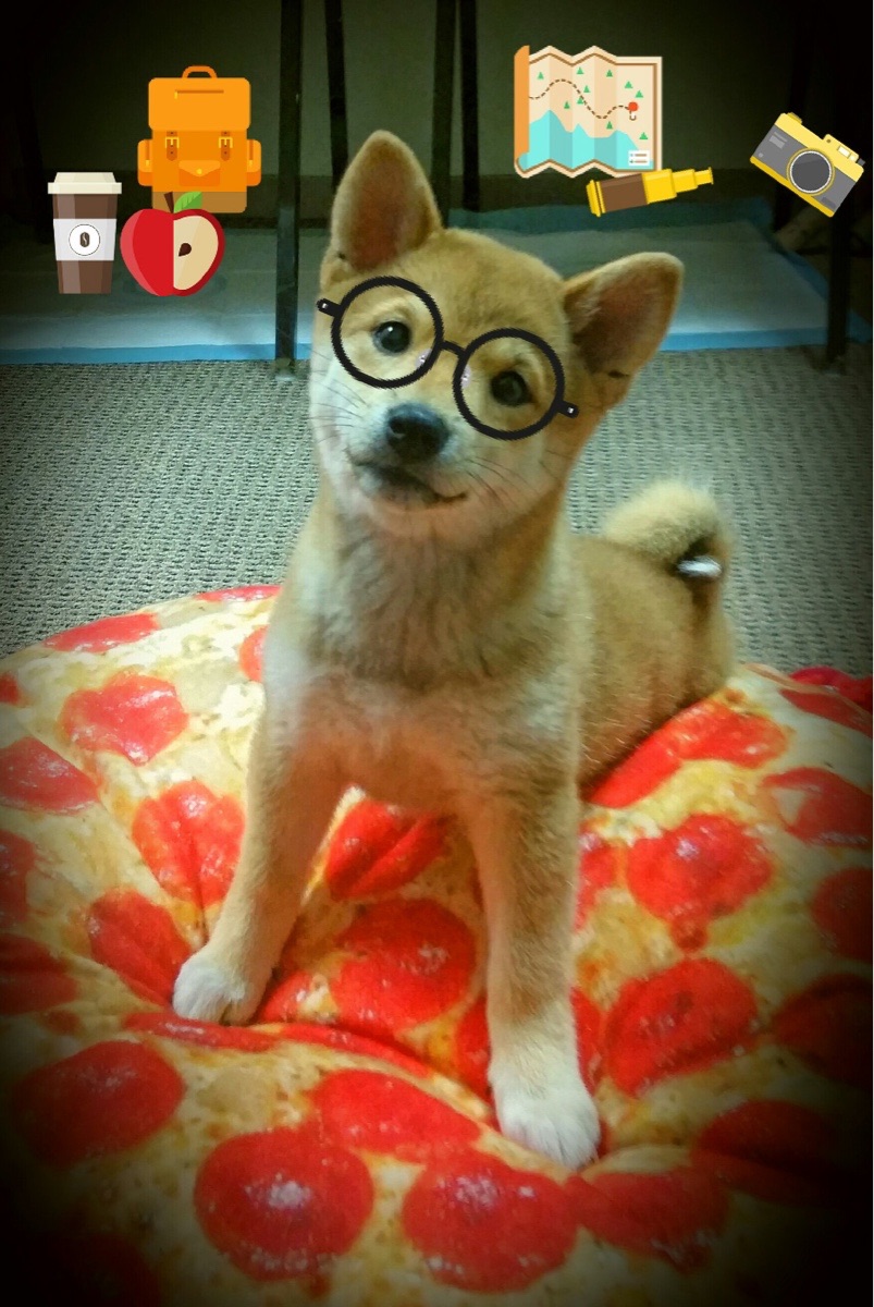 kaiyun网站-勒沃库森客场失利，争冠希望渐行渐远，勒沃库森精选球员