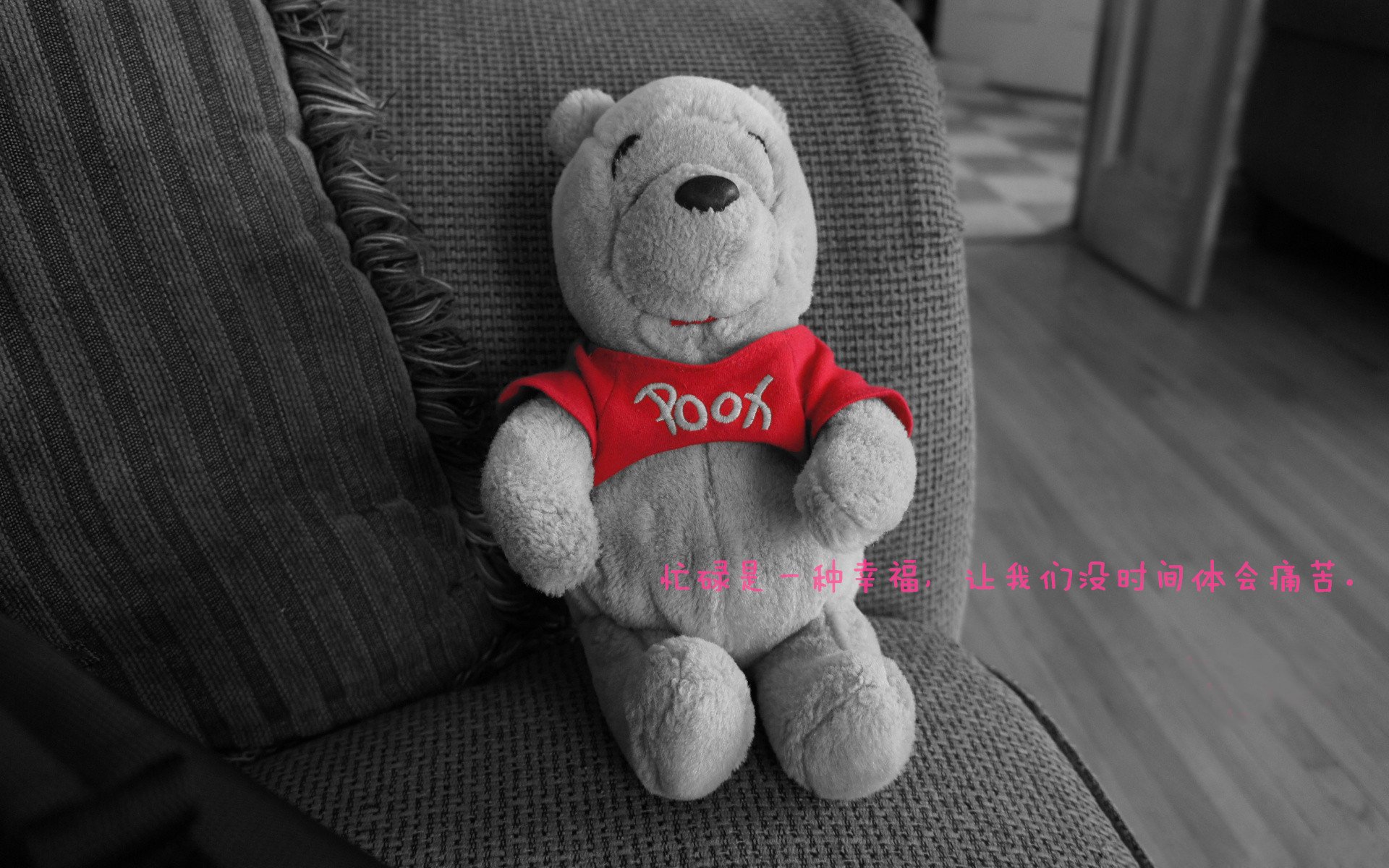 张三归队，球队声势大涨迎战CBA新赛季，张三战绩