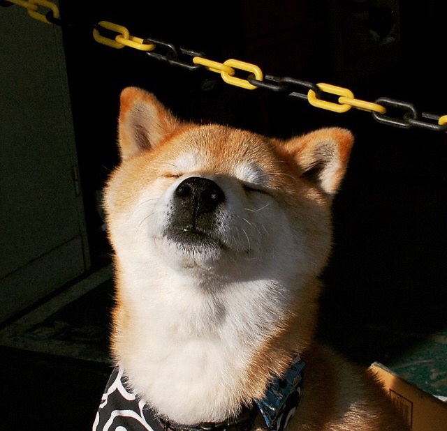 篮球比赛中战术变化对比赛结果影响的实证分析,篮球战术分析怎么写