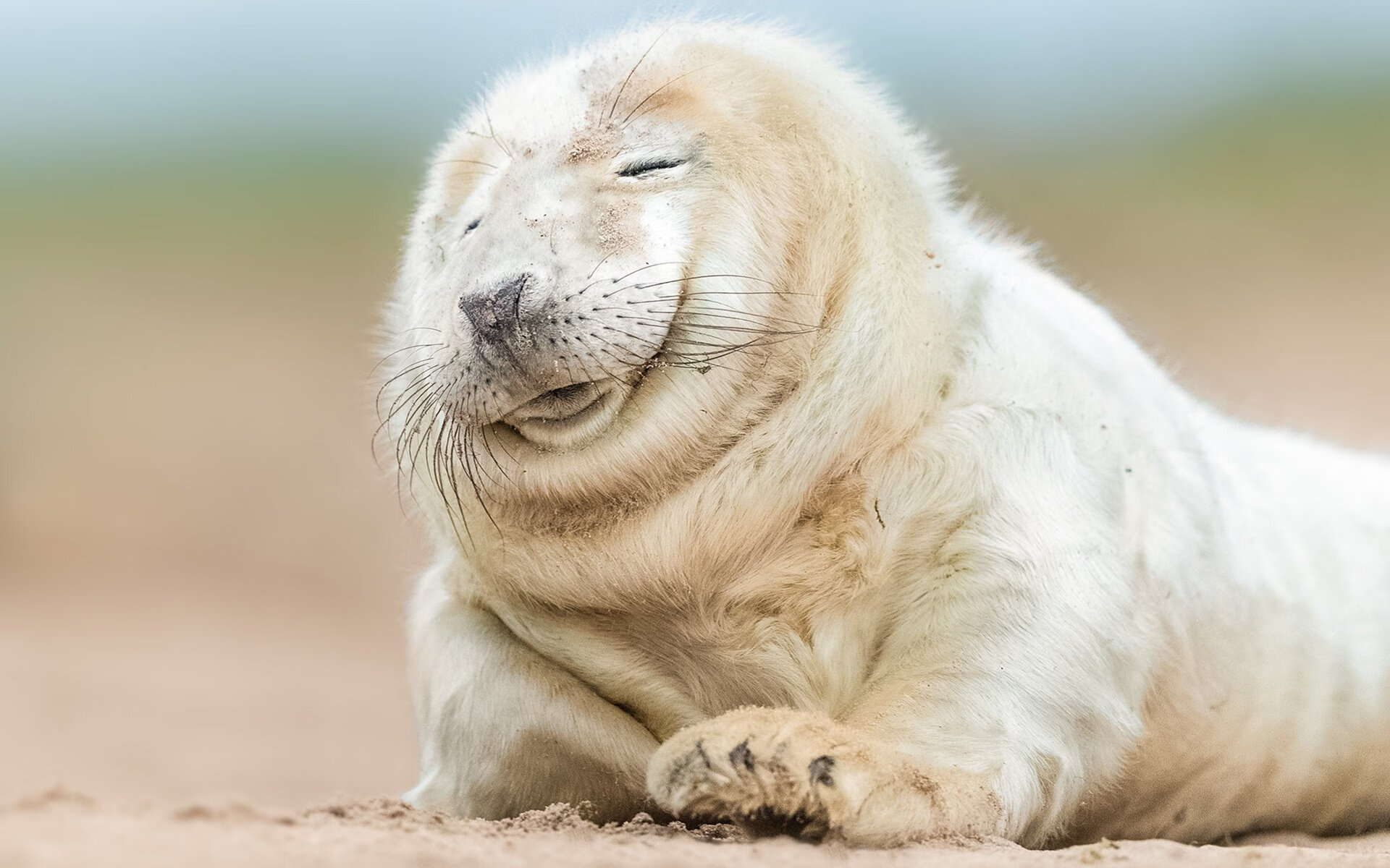 中国足球国家队进攻战术演练取得积极成效,中国足球队训练视频