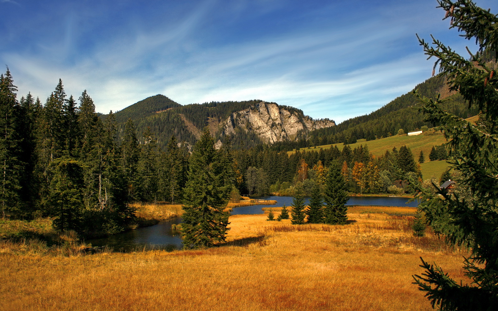 Kaiyun官方登录入口-叶夫根尼娅·奇库诺娃突破极限实现自我超越，叶夫根尼·库兹涅佐夫